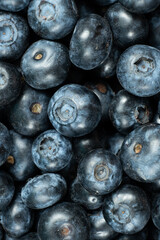 Healthy Ripe Blueberries Macro. Superfood Close-Up Pattern.