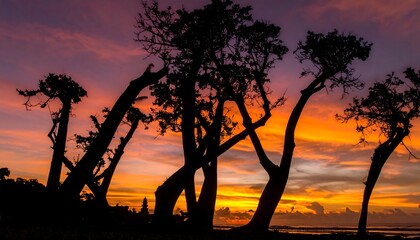 Silhouetted trees curve against a vibrant sunset sky, creating a dramatic and peaceful scene