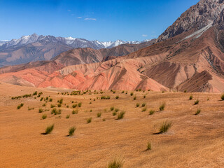 A desert landscape with mountains in the background