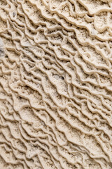 Layered limestone formation, a limestone flow created by flowing water.
Water rich in calcium carbonate flows over a surface, gradually depositing the mineral and creating distinctive layers.