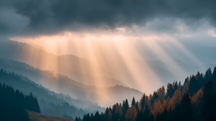 Fototapeta premium A golden hour rainstorm over a forest valley