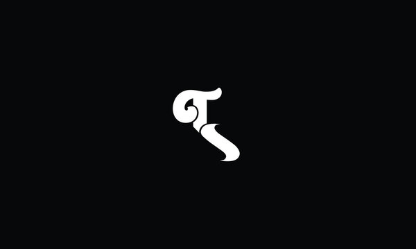 TS,ST,S,T,T,S abstract, letters, logo, monogram, style, symbols, ambitions, icons, 
