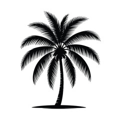 Silhouette of a tropical palm tree against a white background