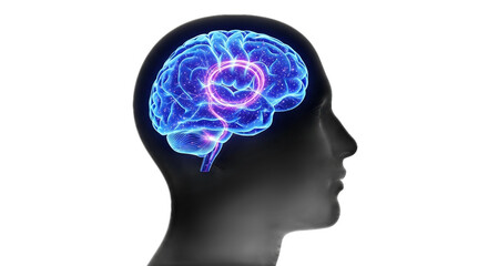 Obraz premium Human Head Profile with Glowing Brain | Medical Visualization of Thought Processes for Healthcare Marketing and Education