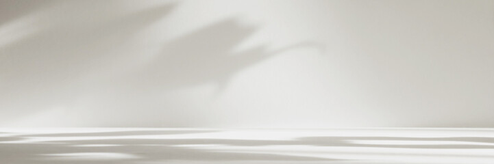 Abstract white color studio background for product presentation. Empty room with shadows of window and flowers and plant leaves . 3d grey room with copy space. Summer concept. Blurred backdrop. Banner