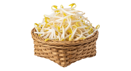 Isolated Mung Bean Sprouts in Wicker Basket