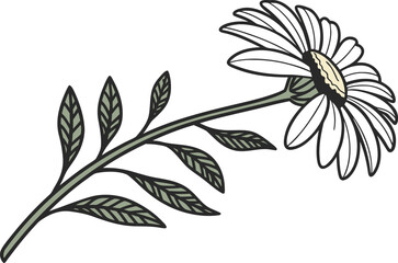 Realistic Daisy Flower Illustration in Natural Style. Detailed White Daisy Artwork with Green Stem. Botanical Daisy Drawing in Realistic Design. Elegant Daisy Flower Painting with Soft Petals
Natural
