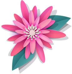 pink lotus flower