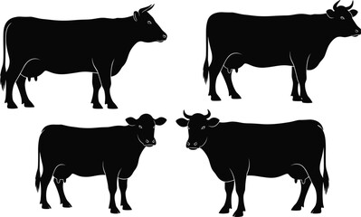 Four Black Silhouettes of Cows in Different Poses on White Background Keywords: cow, cattle, livestock