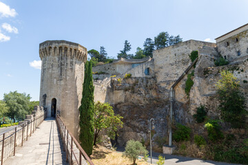 Fototapeta premium Avignon, Francia 