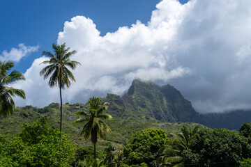 Mount Temetiu near Atuona, Hiva Oa, French Polynesia, Marquesas Islands