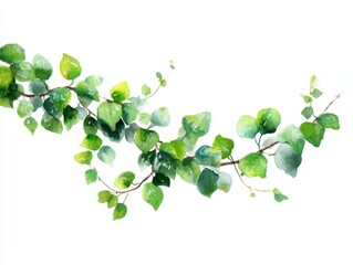 watercolor painting garland leaves white background