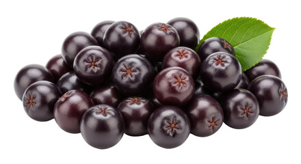 Isolated Pile of Aronia Berries