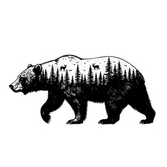 vector illustration of a bear