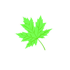 Green Leaf Vector Illustration &ndash; Natural Plant Element Design