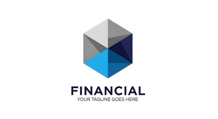 Modern Geometric Blue and Grey Hexagonal Financial Logo Vector Design Isolated