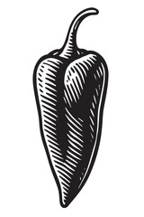 Vintage Poblano Pepper Etching linocut woodcut engraving black and white vegetable illustration
