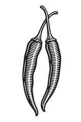 Cayenne Peppers in Detailed Inkwork linocut woodcut engraving black and white vegetable illustration