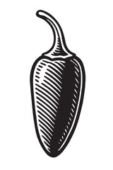 Detailed Black and White Jalapeño linocut woodcut engraving black and white vegetable illustration