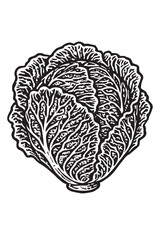 Savoy Cabbage in Bold Ink Lines linocut woodcut engraving black and white vegetable illustration