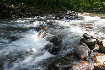 Serene Water Flowing Over Rocks in Lush Green Forest with Sunlight Glimmering on Surface