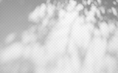 Overlay of abstract tree gobo shadows on a transparent vector background