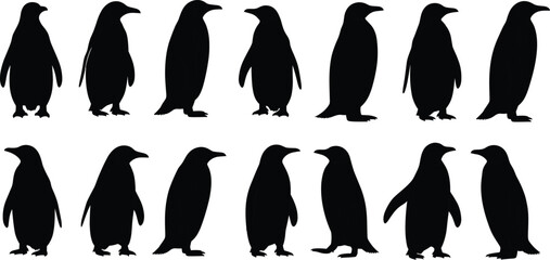 Penguin silhouette illustration, black and white animal shape, antarctic bird design, wildlife vector art, nature symbol, isolated penguin drawing, graphic icon