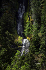 Waterfall in Mou nt Rainier National Park Washington