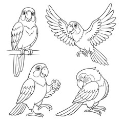 Fototapeta premium Vector illustration set of flying wildlife birds featuring a black eagle, cartoon parrot, dove, owl, and pigeon with artistic feathers and wings for nature tattoo drawings