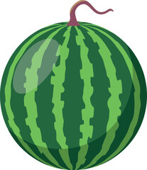 Fresh ripe watermelon isolated on white summer fruit healthy food vector