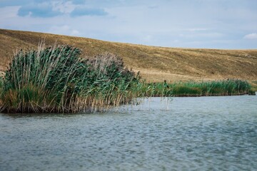 Serene Lakeside with Reeds and Hills