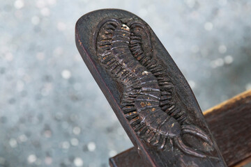 Wood carving detail of an ancient centipede fossil embedded in a dark timber surface, close-up showing intricate segmented anatomy and texture