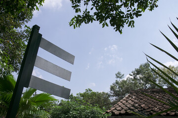 Blank directional signs in grassy field