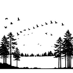 Silhouette of birds flying over trees in a forest on a white background