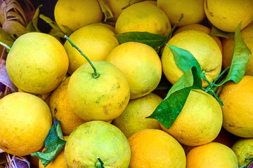 Fresh Citrus Fruit Pile, Grapefruit, Pomelo, Leaves