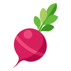 Minimal clean design of a colorful radish illustration