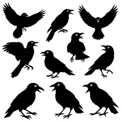 Obraz premium Black vector silhouette set of flying birds collection with dove, pigeon, and eagle illustrations