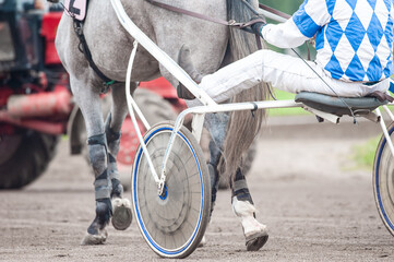 Detail of trotter horse and rider before the race closeup
