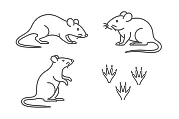 Various sketches of mice and their footprints illustrating different poses and characteristics in a minimalist style