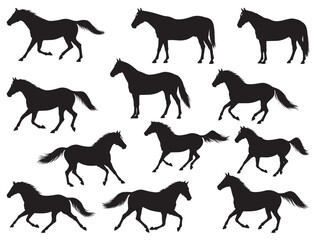 AMERICAN QUARTER HORSE SILHOUETTE