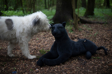 The dog sniffs the toy. A pet is surprised by a stuffed cat. Deception of the dog.