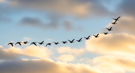 A flock of geese in flight against a colorful sky.