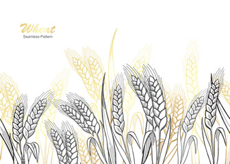 Horizontal seamless border with hand drawn spikelets of wheat, barley vector illustration Ears of wheat sketch style or decoration, packaging design of bakery in black, white, gold.