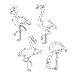 Set vector illustration of a flamingo