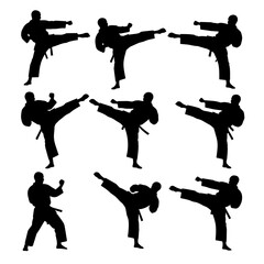 Martial Arts Silhouette Series: Dynamic silhouette images capture the essence of martial arts, showcasing a range of powerful kicks and stances.