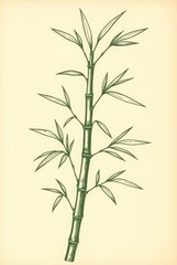 Obraz premium Green Bamboo Branch with Details