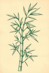Obraz premium Vertical Bamboo Plant Drawing