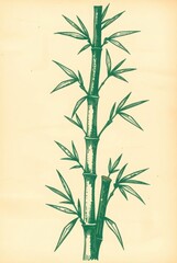 Fototapeta premium Vintage Bamboo Stem Depiction