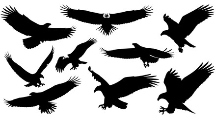 silhouettes of birds