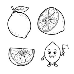 Fresh tropical citrus fruits with lemon orange lime grapefruit and kiwi illustration